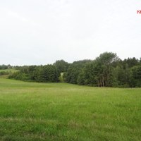 166_5293784313.jpg