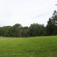166_5293802920.jpg